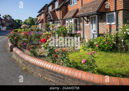 cottages and gardens in the village of chiddingfold in surrey Stock Photo