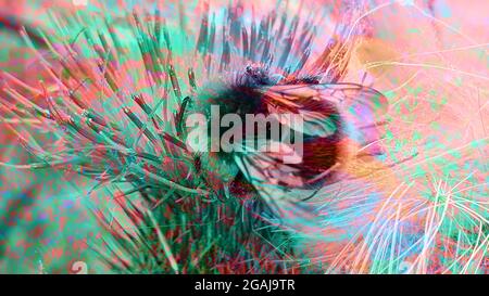 Bee abstract Stock Photo
