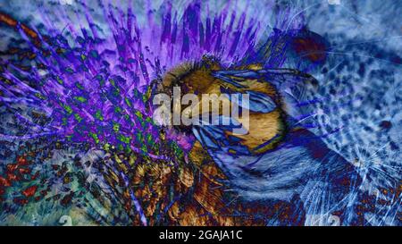 Bee abstract Stock Photo