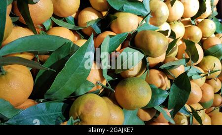Fresh tangerines in an old bag of leaves. 32029244 Stock Photo at Vecteezy