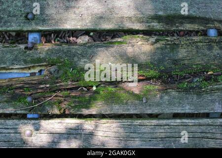 A top view of the top of an old traditional weathered picnic table on a beautiful sunny summer day. Stock Photo