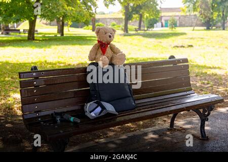Teddy bear sits on a bench in a park. Stock Photo