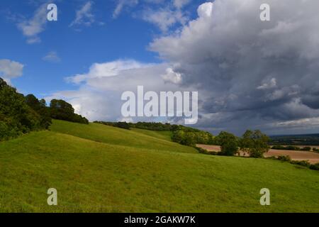 View towards clump of trees above Otterton Ledges at Budleigh Salterton ...