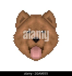 Chow-Chow pixel art portrait. Cartoon dog icon. Vector illustration. Stock Vector