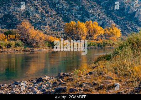 Green River at head of Split Mountain Canyon viewed from Rainbow Park in Dinosaur National Monument, Utah, USA Stock Photo