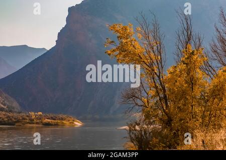 Green River at head of Split Mountain Canyon viewed from Rainbow Park in Dinosaur National Monument, Utah, USA Stock Photo