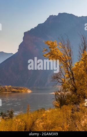 Green River at head of Split Mountain Canyon viewed from Rainbow Park in Dinosaur National Monument, Utah, USA Stock Photo