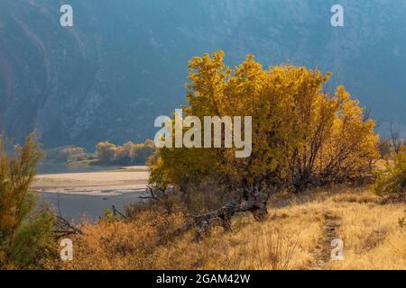 Green River at head of Split Mountain Canyon viewed from Rainbow Park in Dinosaur National Monument, Utah, USA Stock Photo