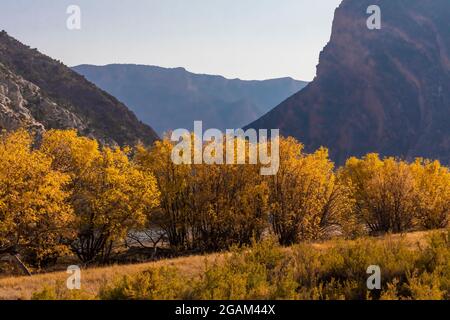 Green River at head of Split Mountain Canyon viewed from Rainbow Park in Dinosaur National Monument, Utah, USA Stock Photo