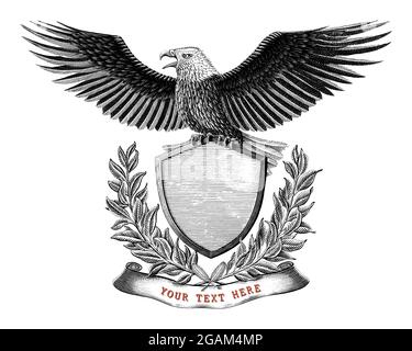 Eagle branding logo design hand draw vintage engraving style black and white clip art isolated on white background Stock Vector