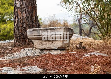 Ancient architecture capital or chapiter part of column or pillar remains next to pine tree in archeological site in Athens, Greece Stock Photo