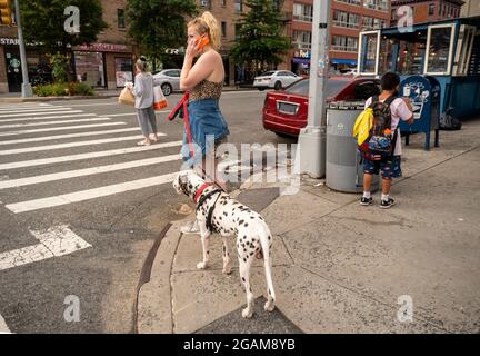 Woman walks her dog in Chelsea in New York on Friday, July 23, 2021. (© Richard B. Levine) Stock Photo