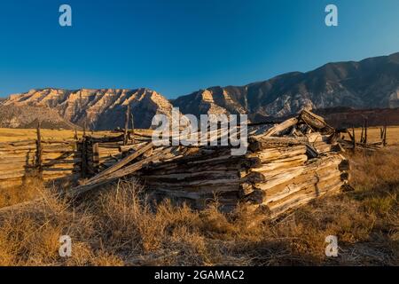 Log barn or cabin at Ruple Ranch, an old homestead at Island Park along the Green River in Dinosaur National Monument, Utah, USA Stock Photo