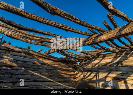 Weathering logs in an old log barn or cabin at Ruple Ranch, an old homestead at Island Park along the Green River in Dinosaur National Monument, Utah, Stock Photo