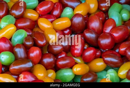 multi-coloured tomatoes on sale and displayed at a greengrocers fresh fruits and vegetables shop. Stock Photo