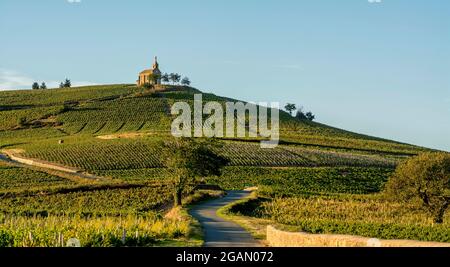 The chapel La Madone at Fleurie village, Beaujolais vineyard, department Rhone, region Auvergne-Rhône-Alpes, France, Europe Stock Photo