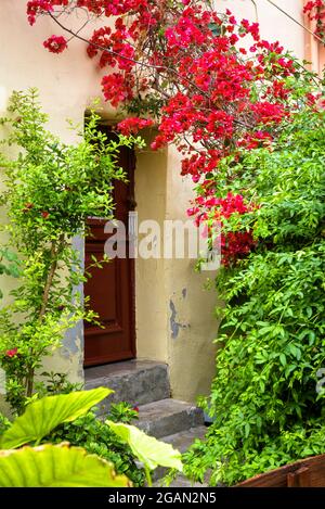 Landscape design of residential house, entrance door overgrown by ivy and red flowers. Vertical scenic view of outside wall and green plants in summer Stock Photo