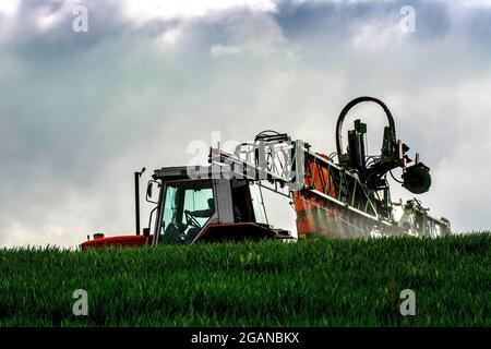 Tractor and wheat sprayer spraying in field Stock Photo