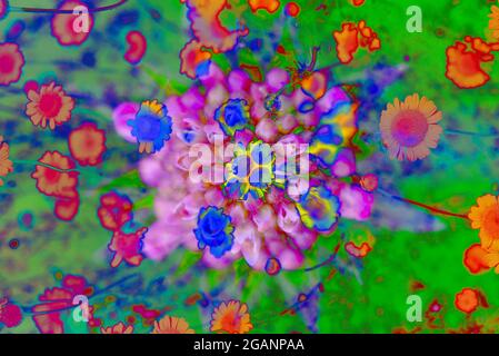 multicolored psychedelic floral patter Stock Photo
