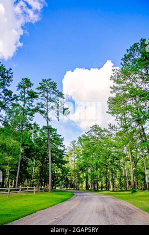 Historic Blakeley State Park is pictured, June 26, 2021, in Spanish Fort, Alabama. Stock Photo