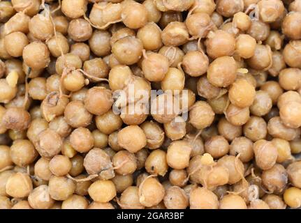 Southeast Asian, Myanmar traditional cooked yellow peas with oil. Breakfast recipe. Closeup view. Stock Photo