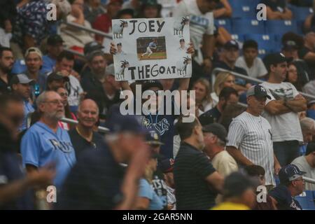 St. Petersburg, FL. USA; Tampa Bay Rays fans celebrating Pride Night at the  ball park during a major league baseball game against the Chicago White S  Stock Photo - Alamy