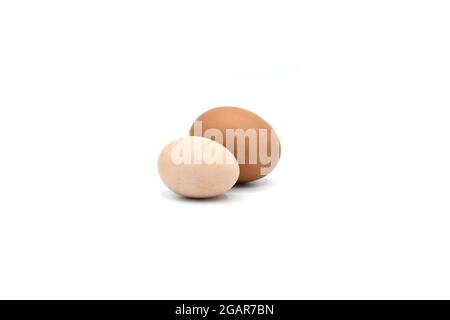 Comparing standard chicken egg and bantam egg. Isolated on white. Stock Photo