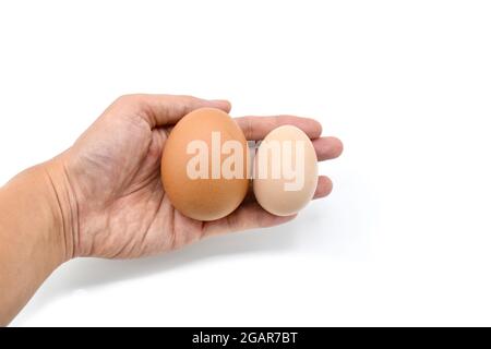 Comparing standard chicken egg and bantam egg. Isolated on white. Stock Photo