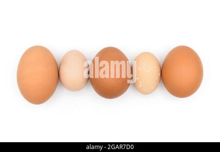Comparing standard chicken eggs and bantam eggs. Isolated on white. Stock Photo
