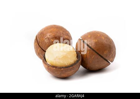 Macadamia nut with kernel close-up isolated on white background. Stock Photo