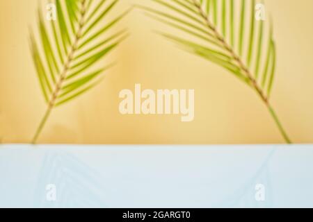 Design banner ads on summer season display concept , abstract blur tropical coconut leaves with white concrete table background for show . Stock Photo