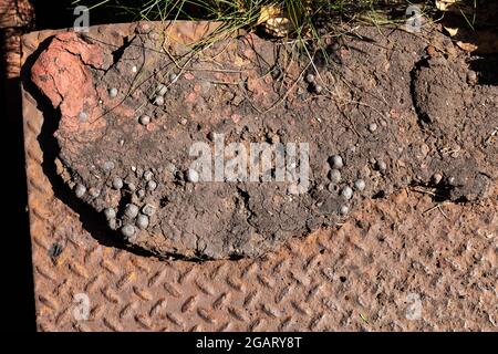 Heavily corroded diamondplate steel partially covered in thick, dried mud with iron pellets, creative copy space, horizontal aspect Stock Photo