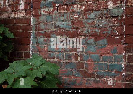 Oblique view of old brick wall with peeling paint area in blue and light red, creative copy space, horizontal aspect Stock Photo