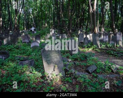 Warsaw, Poland. August 22, 2019. Old, abandoned and destroyed tombs in the Warsaw Jewish Cemetery (Cmentarz Zydowki) Stock Photo