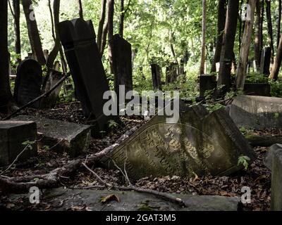 Warsaw, Poland. August 22, 2019. Old, abandoned and destroyed tombs in the Warsaw Jewish Cemetery (Cmentarz Zydowki) Stock Photo