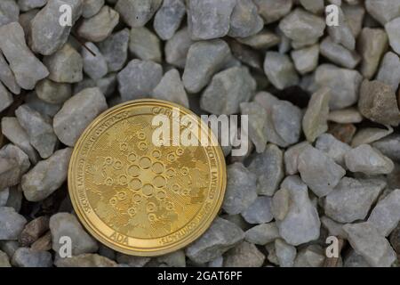 single golden ada coin from cardano currency lying on white gravel back Stock Photo