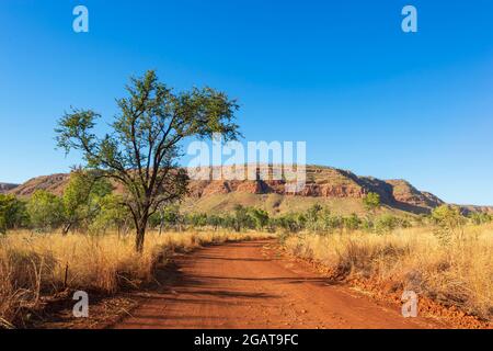 Scenic view typical of the Kimberley, Mornington Wilderness Camp, Kimberley Region, Western Australia, WA, Australia Stock Photo