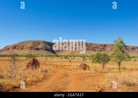 Scenic view of the King Leopold Ranges and savannah with termite mounds, Kimberley Region, Western Australia, WA, Australia Stock Photo