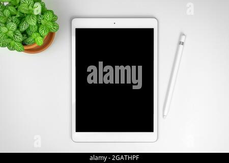 Minimalist workspace concept background with tablet mockup and stylus pen on a silver gral desktop with green plant, top view and copy space Stock Photo