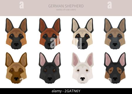 Funny Poses of German Shepherd - Lemon8 Search