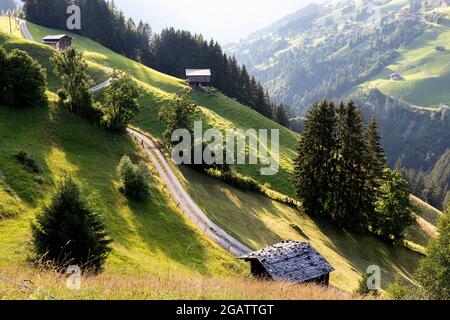 Wooden cabins on pastures in scenic mountain landscape in summer, Tyrol, Austria Stock Photo