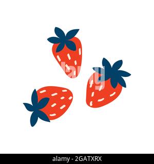 Three strawberries. On white background. Vector colorful illustration hand drawn. Ripe summer healthy berries Stock Vector