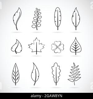 Vector leaves icon set on white background. Easy editable layered vector illustration. Stock Vector