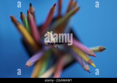 a box of colored pencils photographed with bokeh. Looks pointy at the ends. Placed on a blue table Stock Photo