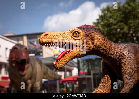 life-size dinosaurs models exhibited at various locations in the city center of Bochum, here: Velociraptor and in the background Tyrannosaurus, North Stock Photo