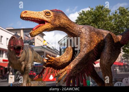 life-size dinosaurs models exhibited at various locations in the city center of Bochum, here: Velociraptor and in the background Tyrannosaurus, North Stock Photo