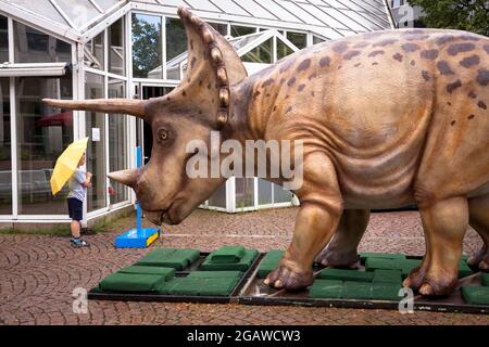 life-size dinosaurs models exhibited at various locations in the city center of Bochum, here: Triceratops, North Rhine-Westphalia, Germany.  lebensgro Stock Photo