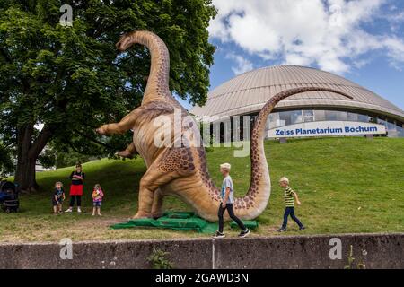 life-size dinosaurs models exhibited at various locations in the city center of Bochum, here: Apatosaurus or also called Brontosaurus in front of the Stock Photo