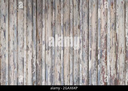 Old Shabby Wooden Fence Painted in Light Gray Long Time Ago Stock Photo