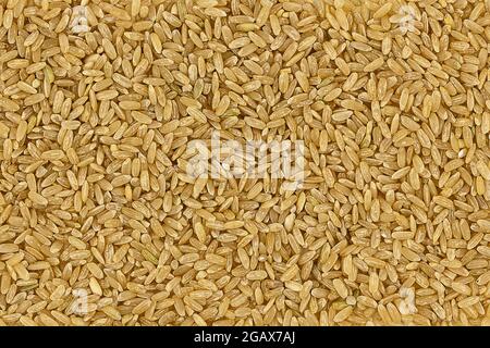 brown rice texture. brown rice background. close-up of brown rice top view. brown rice uncooked Stock Photo